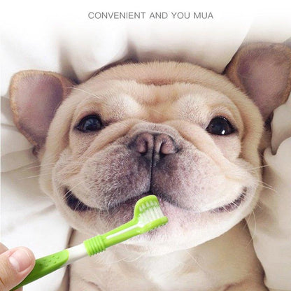 Pet Toothbrush Kit With Soft Dog Finger Toothbrush Pet Multi-angle Cleaning Tooth Dog Cat Dental Care ToothBrushes Set for Pets - Pampered Pets