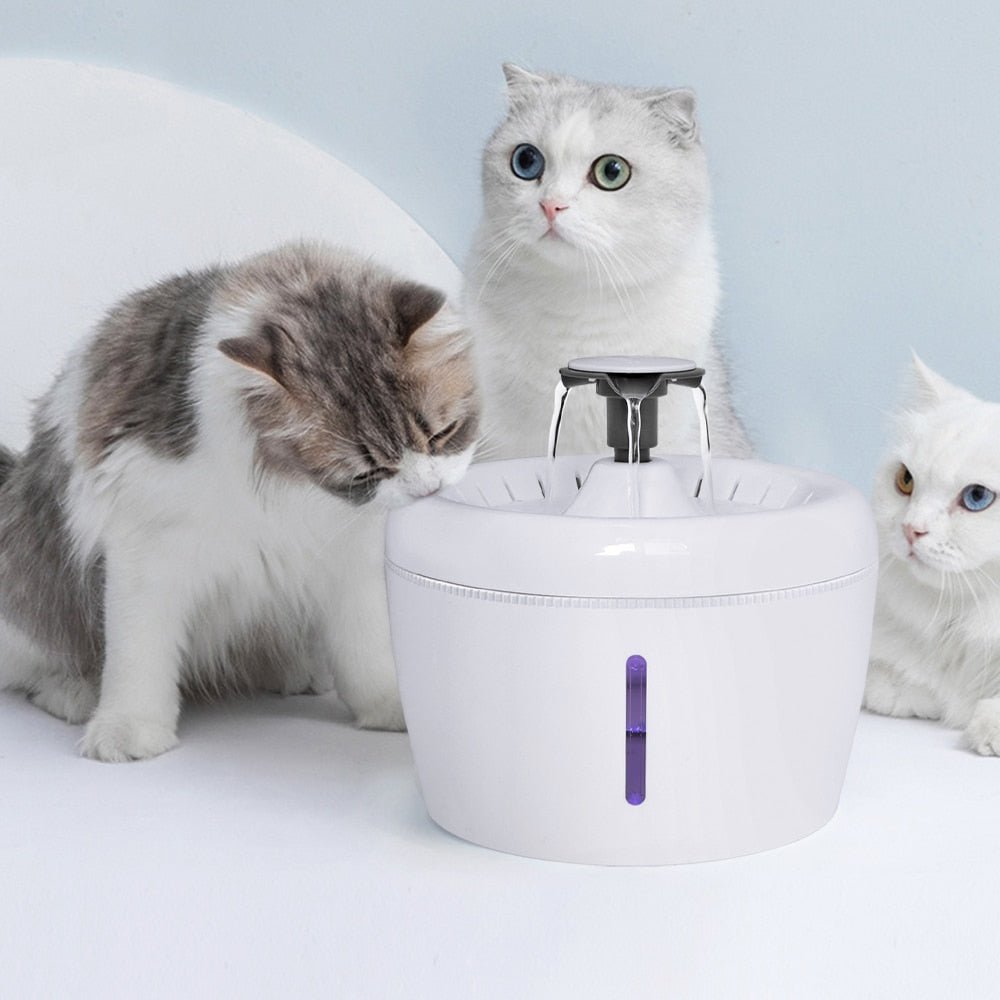 Pet Cat Water Fountain USB Automatic Cat Water Dispenser Feeder Bowl LED Light Smart Dog Cat Water Dispenser Pet Drinking Feeder - Pampered Pets
