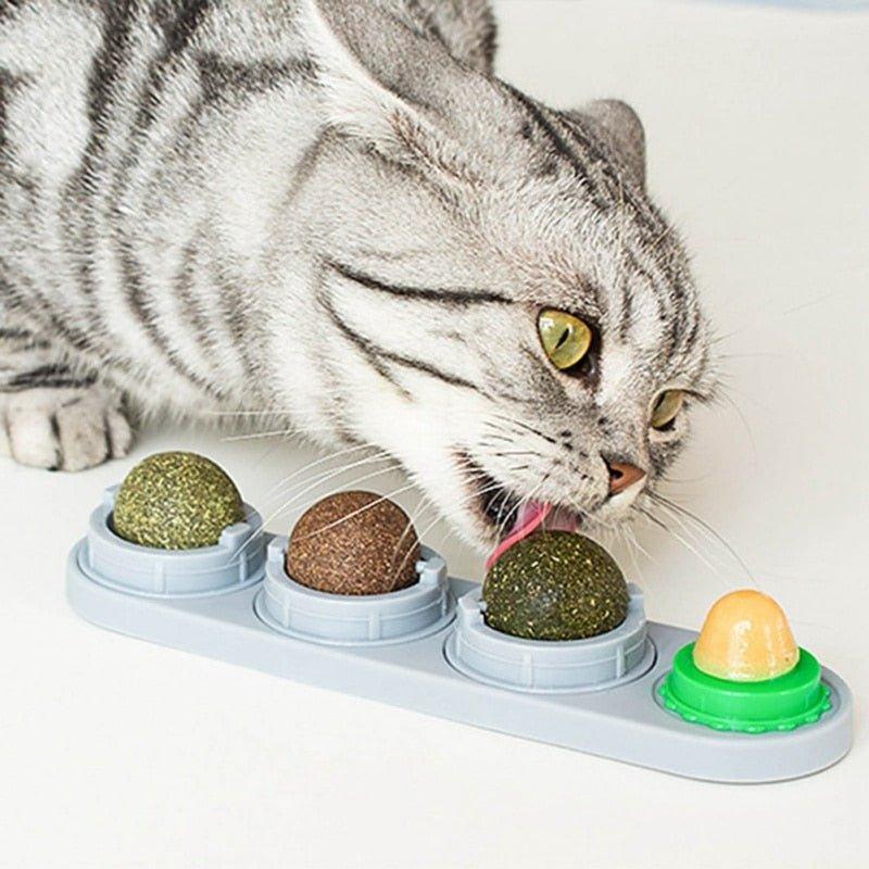 Pet Cat Catnip Wall Ball Cat Toy Catnip Balls Snack Healthy Rotatable Treats Toy Kitten Playing Chewing Cleaning Teeth Toys Food - Pampered Pets