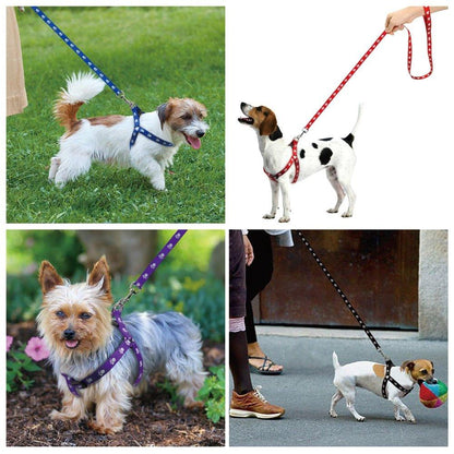 Nylon Dog Harness and Leash Set Adjustable Paw Print Dog Harness Walking Leash Strap for Small Medium Dogs S/M/L - Pampered Pets