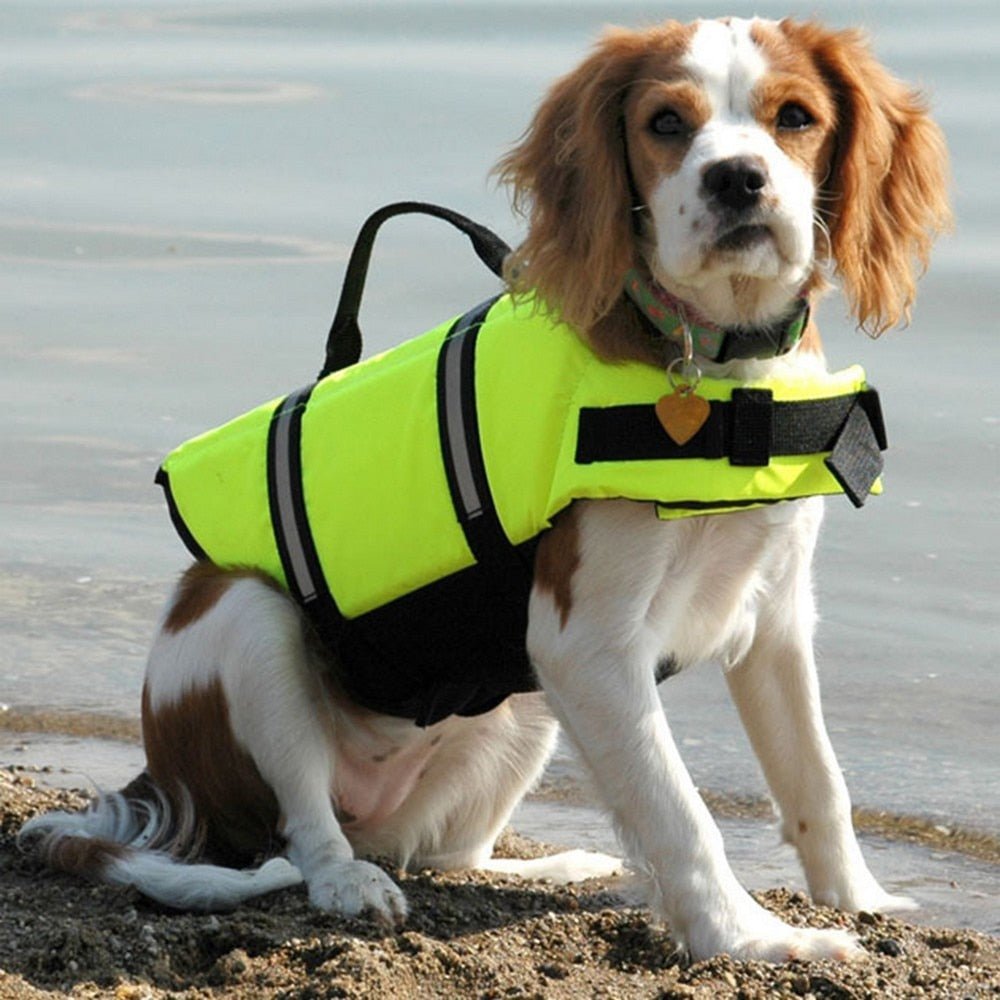 Pet Dog Life Vest Summer Printed Pet Life Jacket Dog Safety Clothes Dogs Swimwear Pets Safety Swimming Suit Chaleco Salvavidas | Pampered Pets