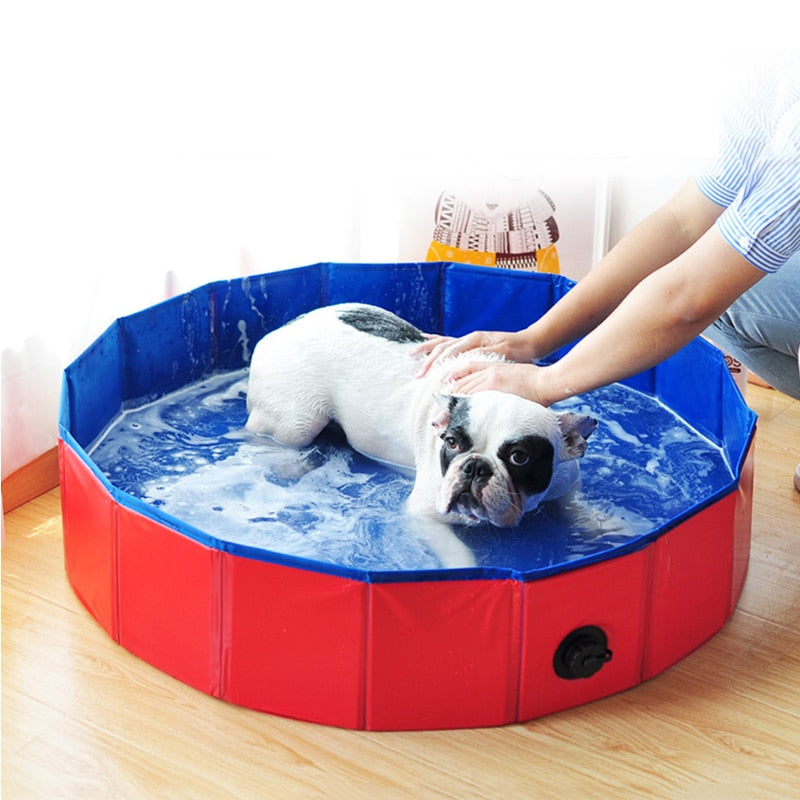  Dogs Bathing Pool