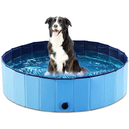  Dogs Bathing Pool