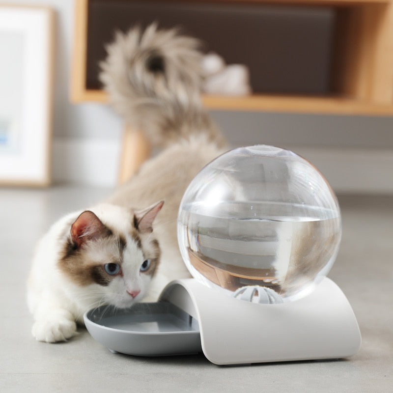 Automatic Cat Water Feeder Drinking Bowl For Pets | Pampered Pets