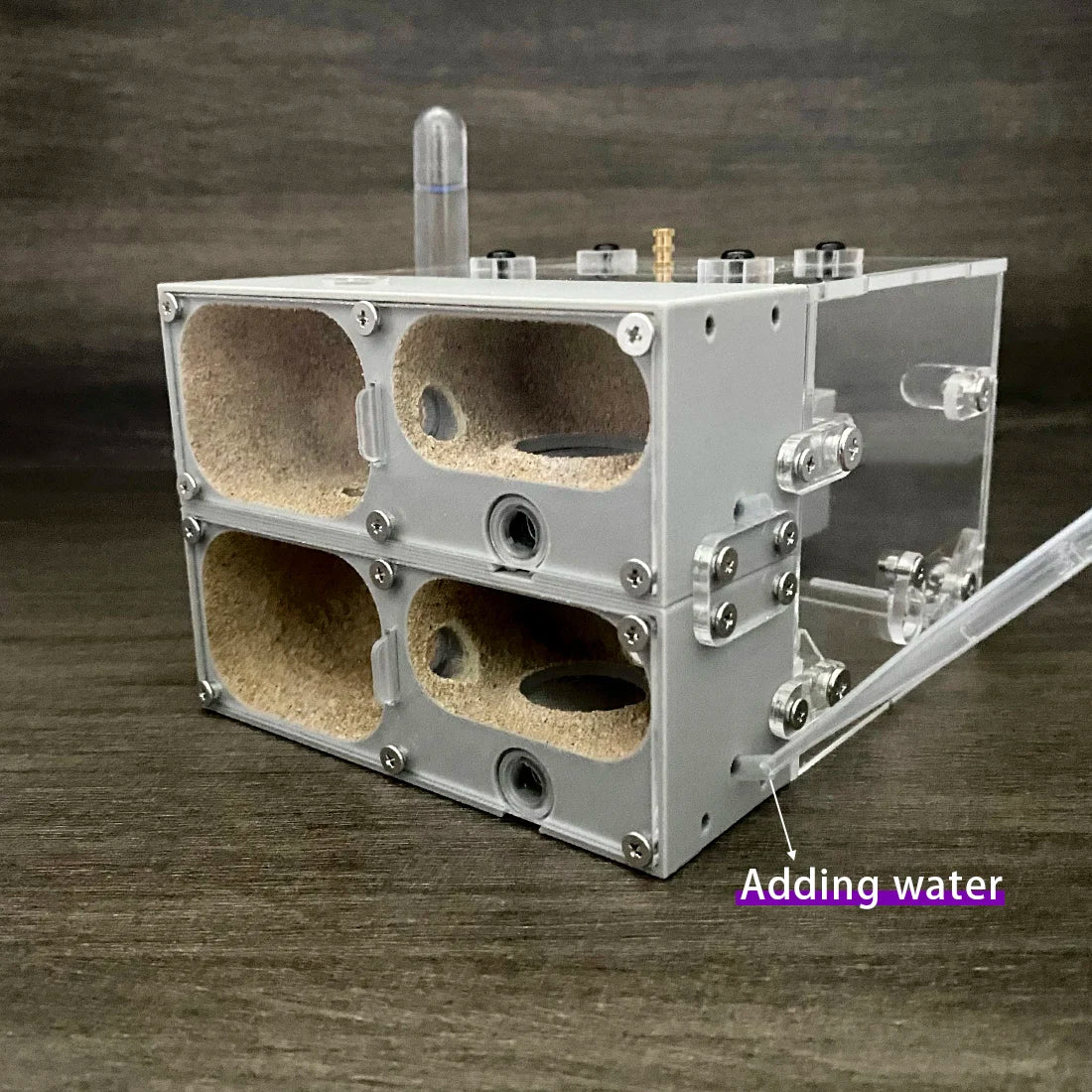 【Valley】Ant Farm for Myrmecocystus , fit for More Than Myrmecocystus , Anthill Nest for Ants Keepping Ant Keepers Accessories