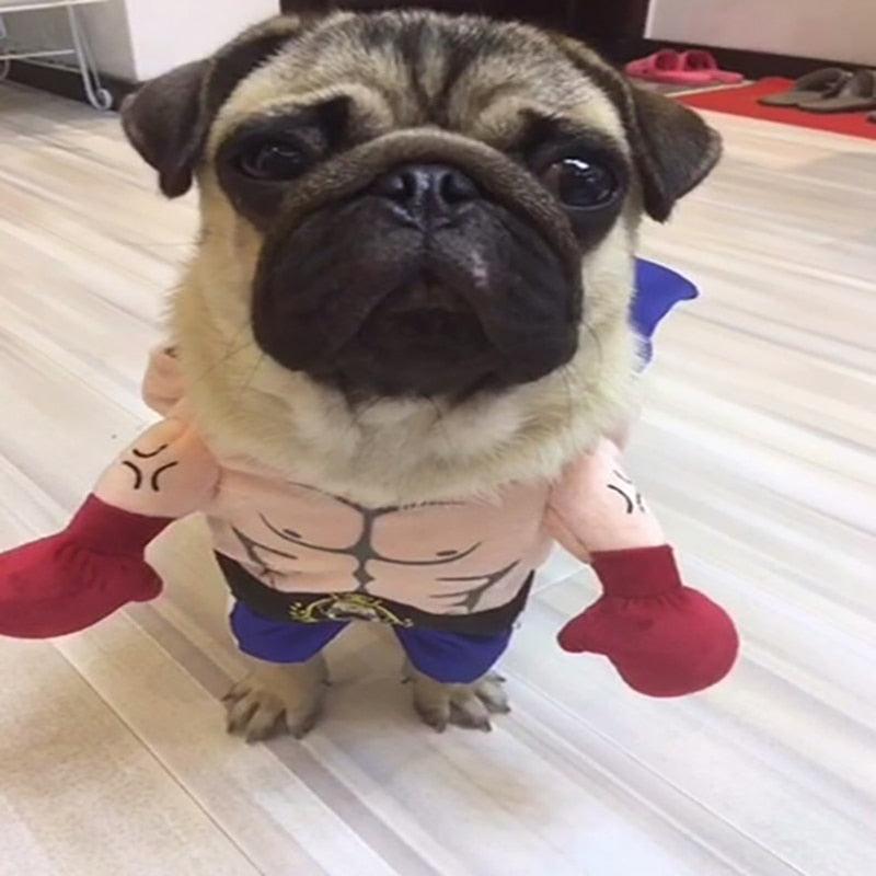 Pet Boxer Costume Clothes Suit For Cats Dogs Cute Costumes Cosplay Halloween Christmas Comical Outfits Funny Dog Accessories - Pampered Pets