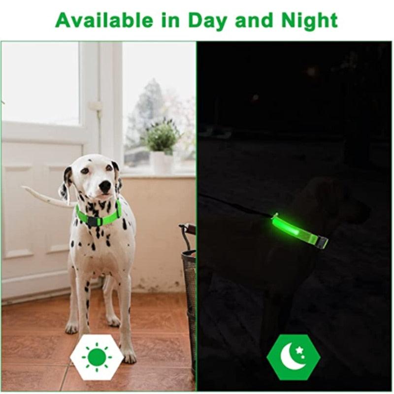 LED Glowing Dog Collar Adjustable Flashing Rechargea Luminous Collar Night Anti-Lost Dog Light HarnessFor Small Dog Pet Products - Pampered Pets