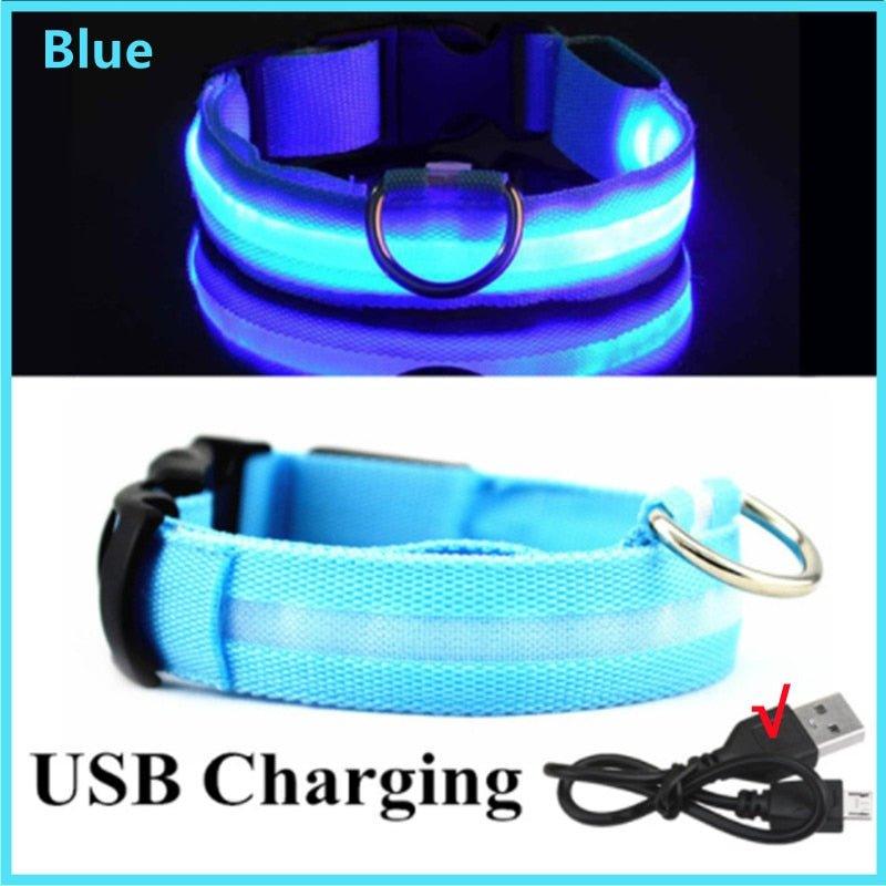 LED Glowing Dog Collar Adjustable Flashing Rechargea Luminous Collar Night Anti-Lost Dog Light HarnessFor Small Dog Pet Products - Pampered Pets