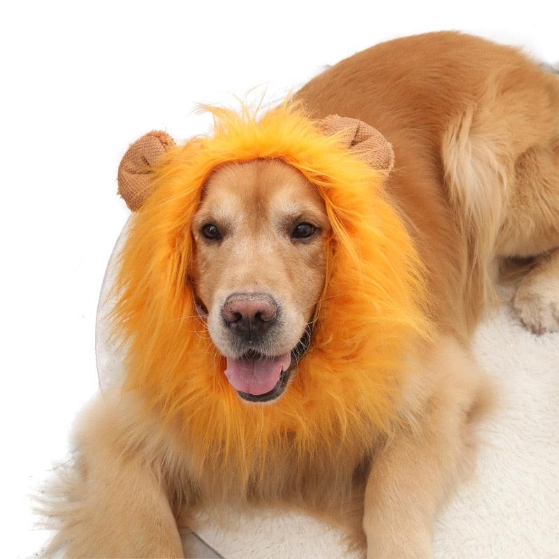 Funny Pet Hat Lion Mane for Dogs Cat Cosplay Dress Up Puppy Lion Wig Costume Party Decoration Halloween Pet Supplies - Pampered Pets