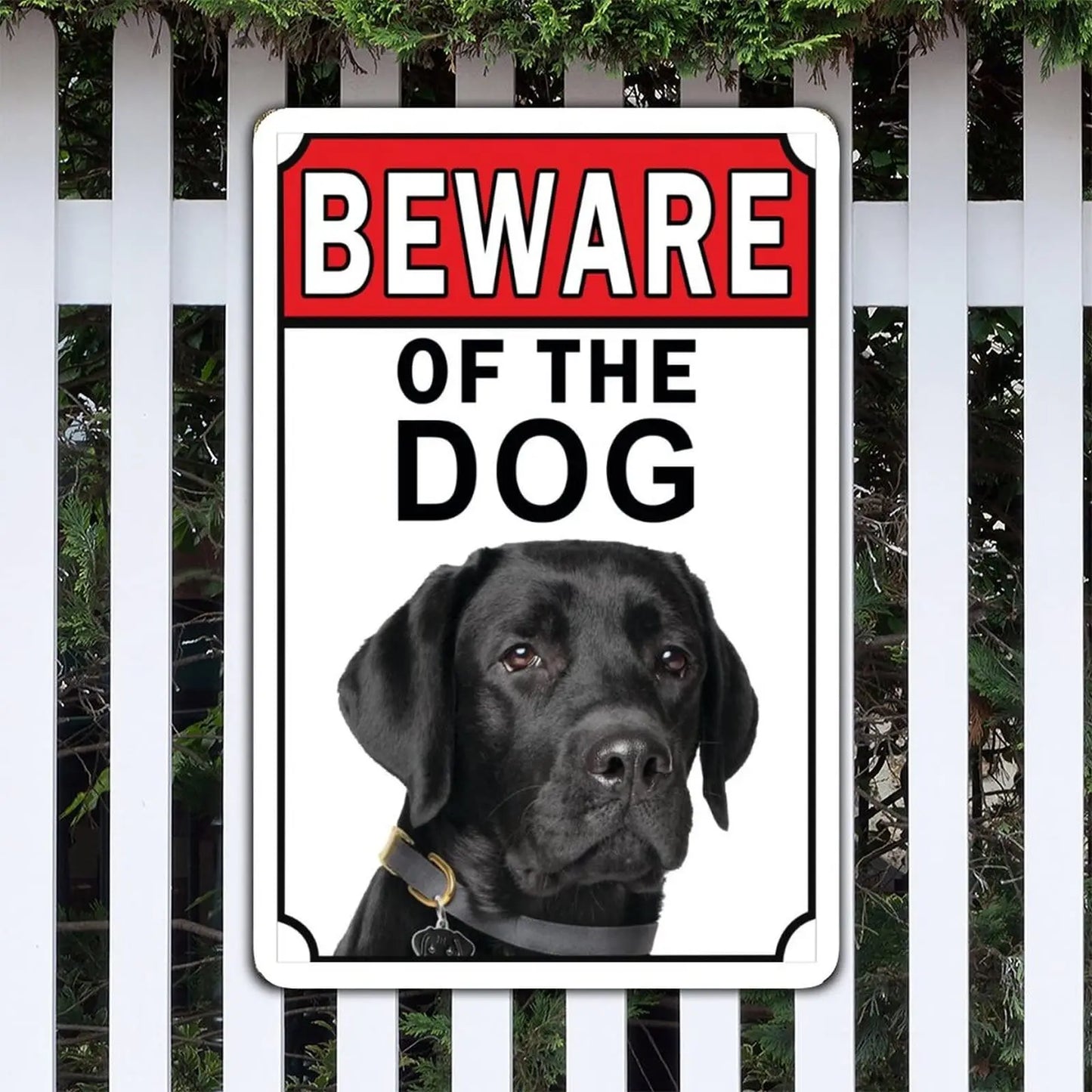 NoneQeleve Beware of The Dog Aluminum Metal Sign Black Labrador Metal Tin Sign 12x18 inch Business Security Sign Home Wall Decor