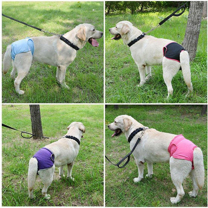 Pet Physiological Pants Diaper Sanitary Washable Female For Small Dog Panties Shorts Puppy Underwear Short Diaper Pet Underwear - Pampered Pets