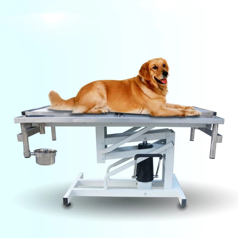 Electric Hydrotherapy Underwater Treadmill for dogs