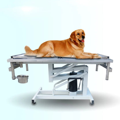 Electric Hydrotherapy Underwater Treadmill for dogs