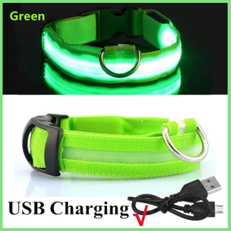 LED Glowing Dog Collar Adjustable Flashing Rechargea Luminous Collar Night Anti-Lost Dog Light HarnessFor Small Dog Pet Products - Pampered Pets