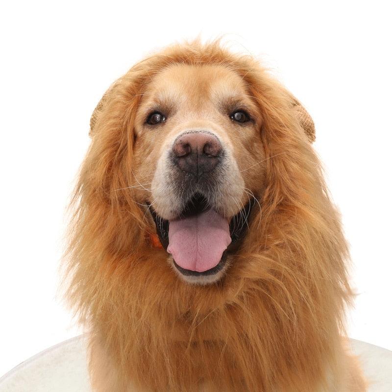 Funny Pet Hat Lion Mane for Dogs Cat Cosplay Dress Up Puppy Lion Wig Costume Party Decoration Halloween Pet Supplies - Pampered Pets