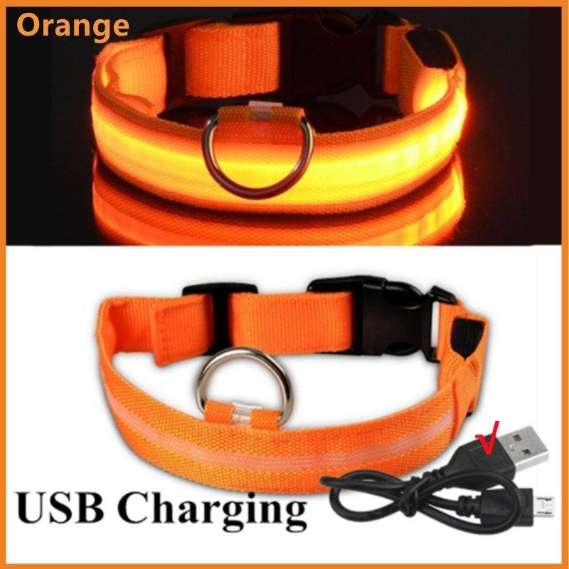 LED Glowing Dog Collar Adjustable Flashing Rechargea Luminous Collar Night Anti-Lost Dog Light HarnessFor Small Dog Pet Products - Pampered Pets