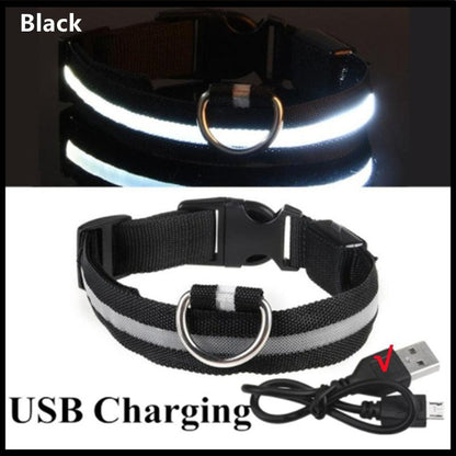 LED Glowing Dog Collar Adjustable Flashing Rechargea Luminous Collar Night Anti-Lost Dog Light HarnessFor Small Dog Pet Products - Pampered Pets