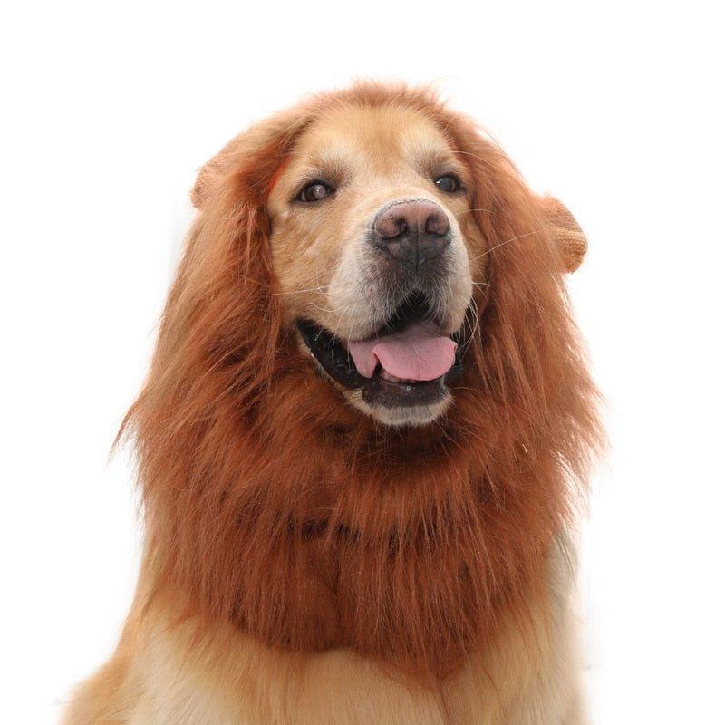 Funny Pet Hat Lion Mane for Dogs Cat Cosplay Dress Up Puppy Lion Wig Costume Party Decoration Halloween Pet Supplies - Pampered Pets