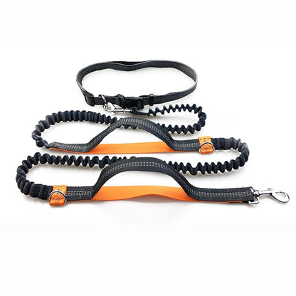 Pet Dog Running Leash Rope 2 Hand Control Dog Joging Walking Leash with Reflective Hands Free Pets Double Elasticity Collar Rope | Pampered Pets