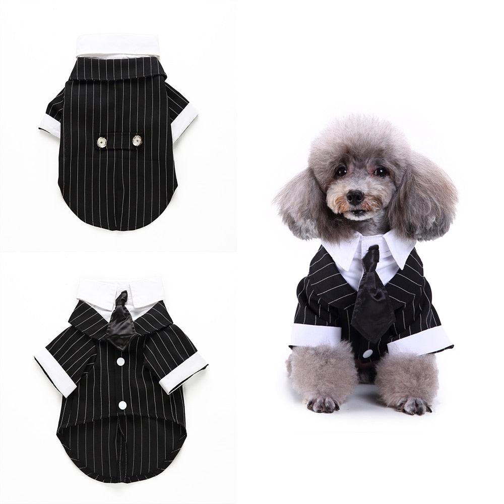 Gentleman Dog Clothes Dog Wedding Outfit Cute Tailcoat Pet Suit Striped Dog Tuxedo Bow Tie French Bulldog Halloween Costume - Pampered Pets