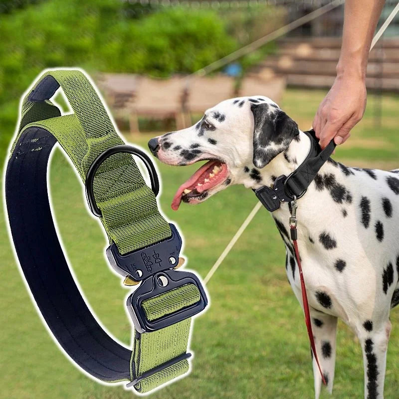 Best Quality Adjustable Nylon Tactical Dog Collar with Control Heavy Metal Buckle for Medium and Large Pet Dogs,Dog accessories