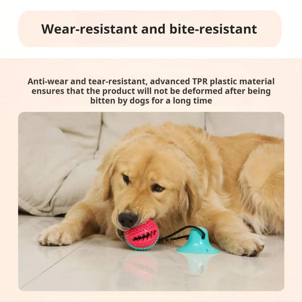 Dog Chew Toys，for Aggressive Chewers，Interactive Dog Suction Cup Toy，Teething Rope Toy，Dog Puzzle Treat Food Dispensing Ball Toy