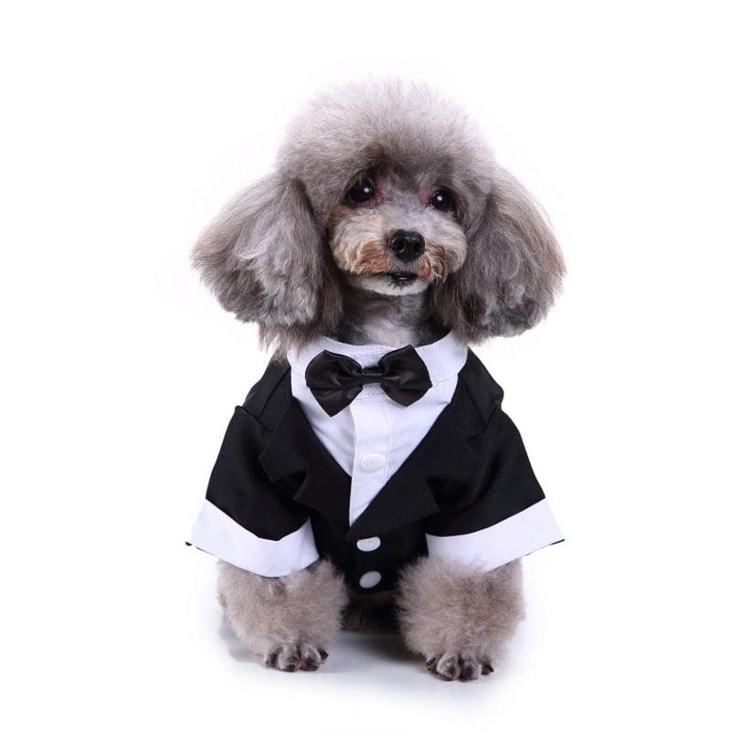 Gentleman Dog Clothes Dog Wedding Outfit Cute Tailcoat Pet Suit Striped Dog Tuxedo Bow Tie French Bulldog Halloween Costume - Pampered Pets