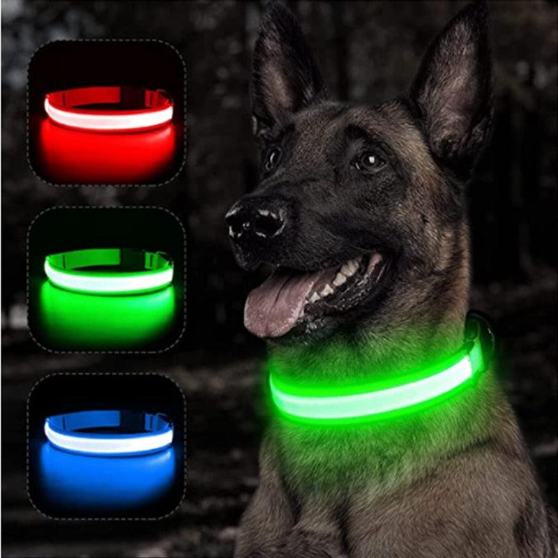 LED Glowing Dog Collar Adjustable Flashing Rechargea Luminous Collar Night Anti-Lost Dog Light HarnessFor Small Dog Pet Products - Pampered Pets