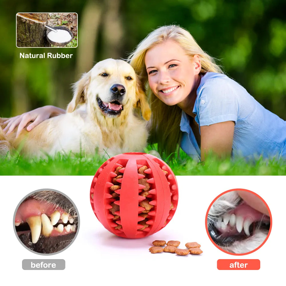 Pet Dog Toy Interactive Rubber Balls for Small Large Dogs Puppy Cat Chewing Toys Pet Tooth Cleaning Indestructible Dog Food Ball - Pampered Pets
