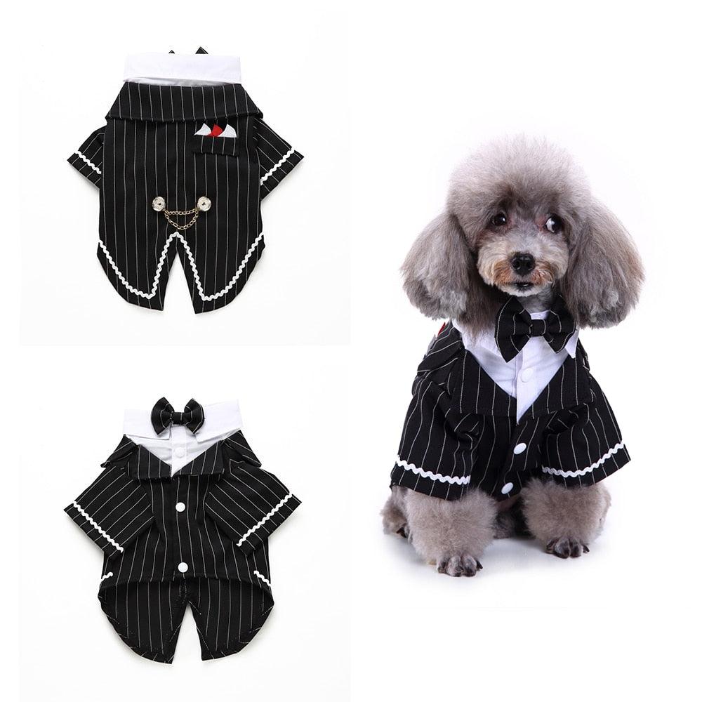 Gentleman Dog Clothes Dog Wedding Outfit Cute Tailcoat Pet Suit Striped Dog Tuxedo Bow Tie French Bulldog Halloween Costume - Pampered Pets