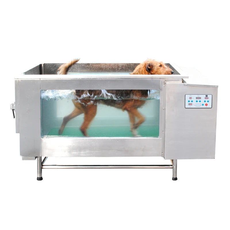 Electric Hydrotherapy Underwater Treadmill for dogs