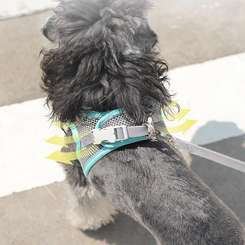 Kimpets Dog Harness Clothes Vest Chest Cat Collars Rope Small Dogs Reflective Breathable Adjustable Outdoor Walking Pet Supplies - Pampered Pets