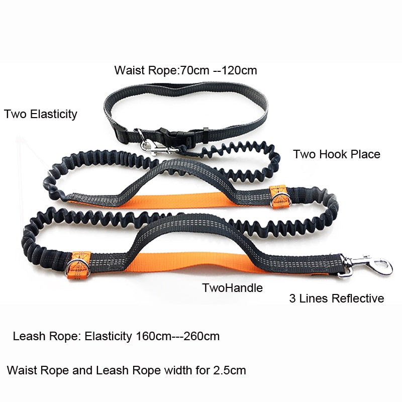Pet Dog Running Leash Rope 2 Hand Control Dog Joging Walking Leash with Reflective Hands Free Pets Double Elasticity Collar Rope - Pampered Pets