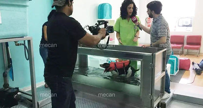 Animal Rehabilitation Machine Underwater Hydro Therapy Treadmill Device Pet Hydrotherapy Water Treadmill For Dog