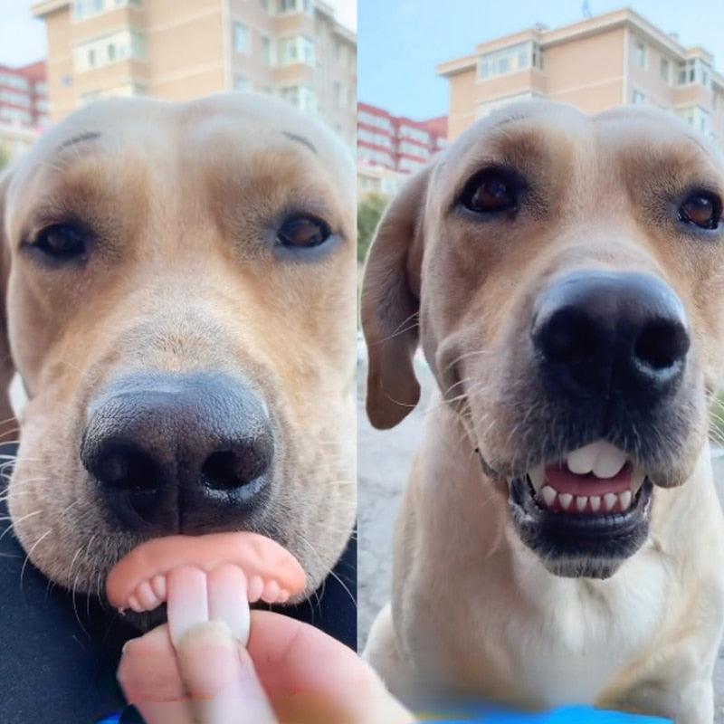 False Teeth For Dog Funny Dentures Pet Decorating Supplies Halloween Cosplay Humans And Vampires Toys Tricky Funny Dentures - Pampered Pets