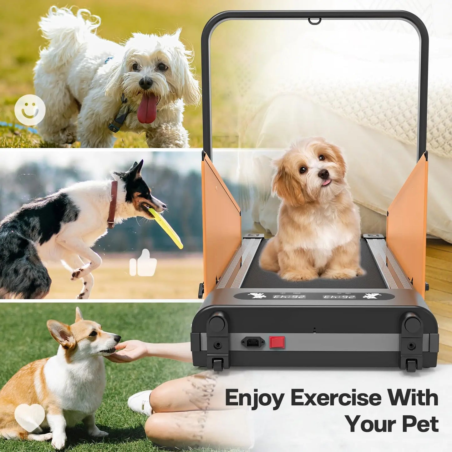 Dog Treadmill for Small Medium Dogs 2.5 Hp 220lbs Foldable Pet Treadmill for Doggy Running Machine 2 in 1 Dog Pacer Treadmill Pa