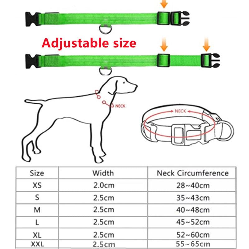 LED Glowing Dog Collar Adjustable Flashing Rechargea Luminous Collar Night Anti-Lost Dog Light HarnessFor Small Dog Pet Products - Pampered Pets