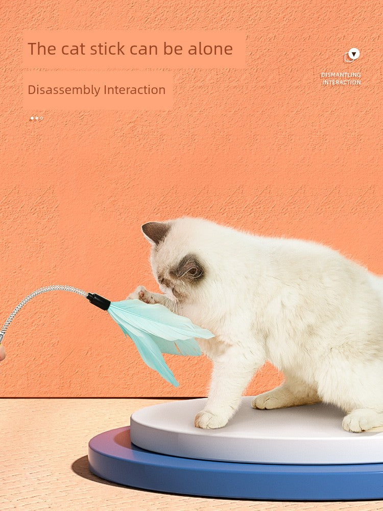 Cat Toy Self-Hi Relieving Stuffy Handy Gadget Cat Teaser Cat Turntable Ball Pet Cat Cat Cat Kittens Kitten All Products