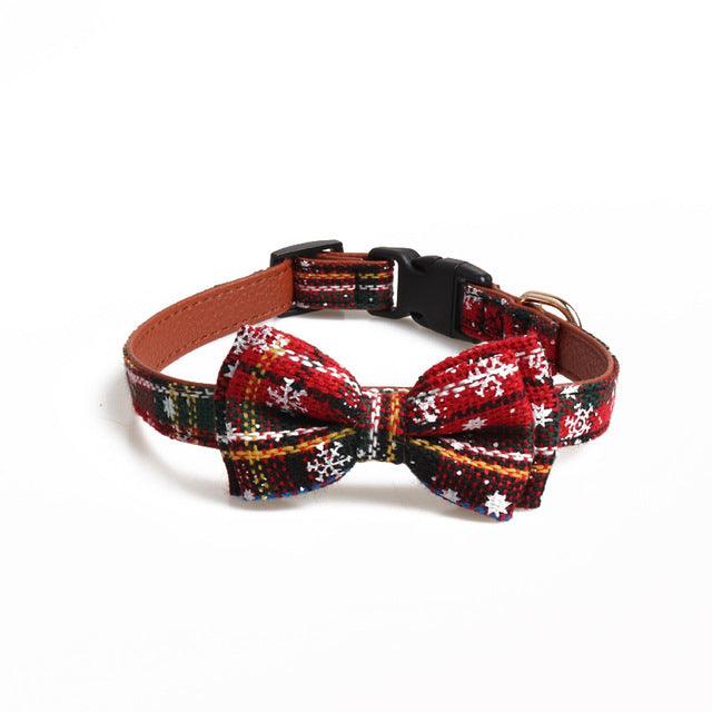 Red Striped Puppy Cat Collar - Pampered Pets