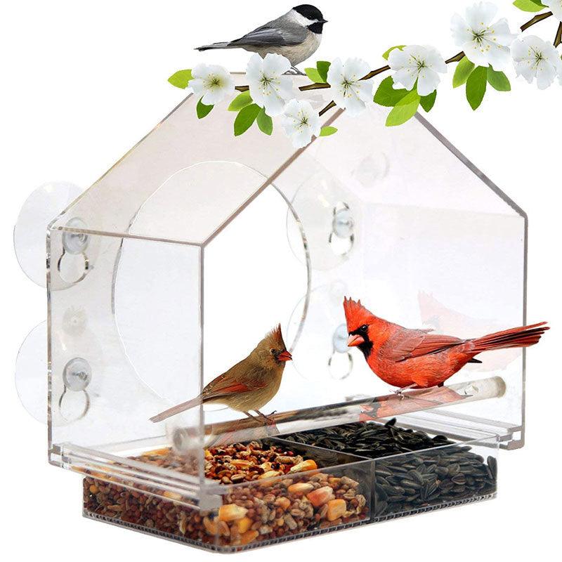 Bird Feeder Camera Live Bird Feeder Cam Bird Buddy Smart Bird Feeder With Camera - Pampered Pets