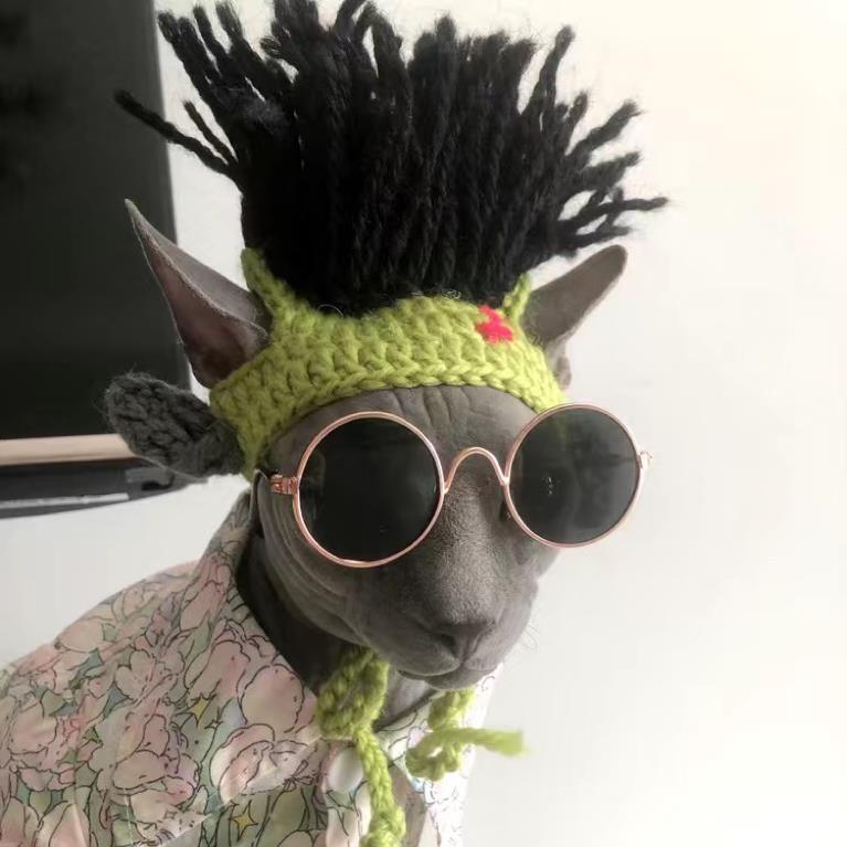 Punk Cat Hat Funny Rock Decoration - Pampered Pets