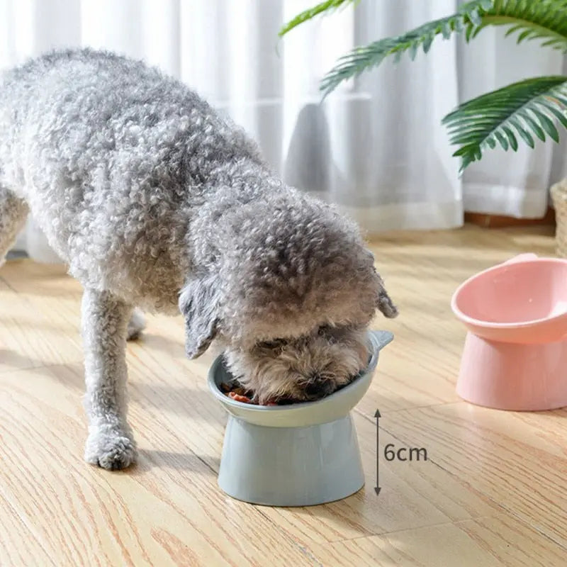 45°Neck Protector Cat Bowl High Foot Dog Bowl Cat Food Water Bowl PP Material Anti-overturning Binaural Pet Feeding Feeder Bowl | Pampered Pets
