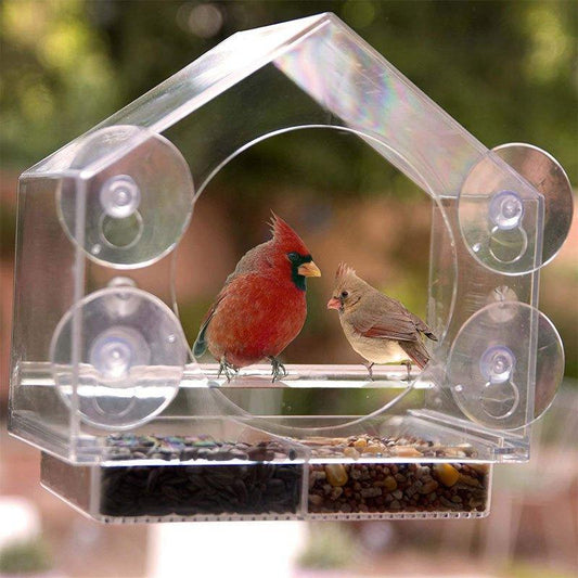 Bird Feeder Camera Live Bird Feeder Cam Bird Buddy Smart Bird Feeder With Camera - Pampered Pets