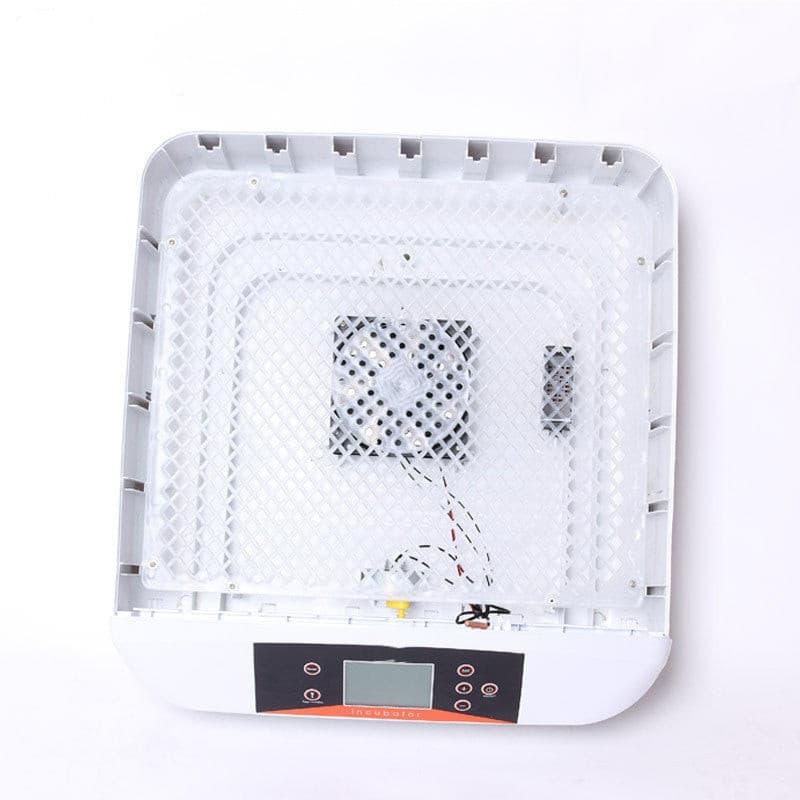 Smart Household Chicken Breeding Egg Incubator - Pampered Pets