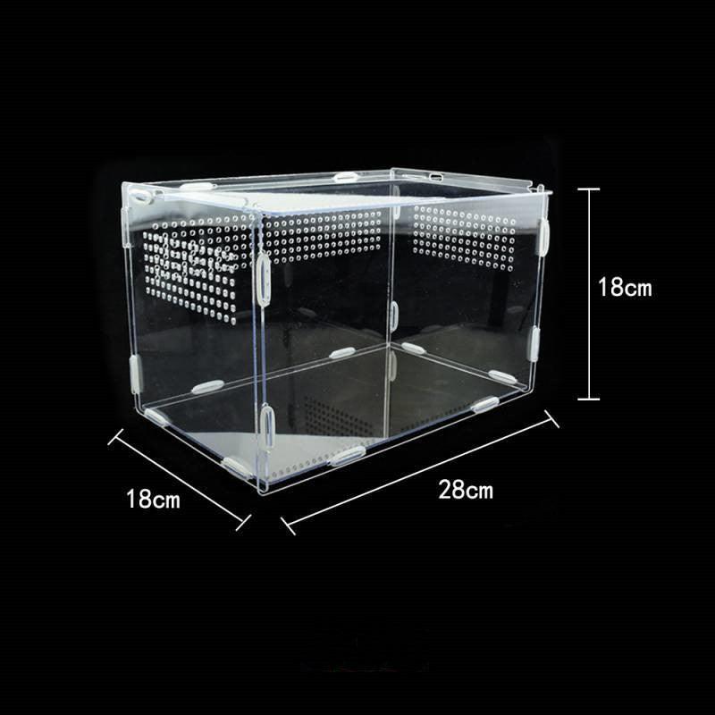 Reptile Tank Feeding Thermal Box Acrylic Transparent - Pampered Pets