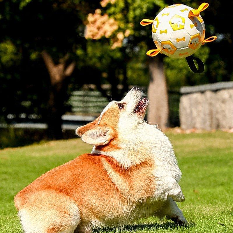 Pet Interactive Football Dog Outdoor Toy Molar Long Lasting - Pampered Pets