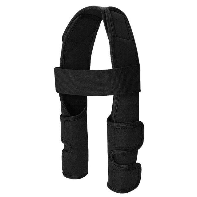 Pet Leg Support - Pampered Pets