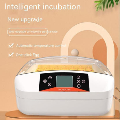 Smart Household Chicken Breeding Egg Incubator - Pampered Pets