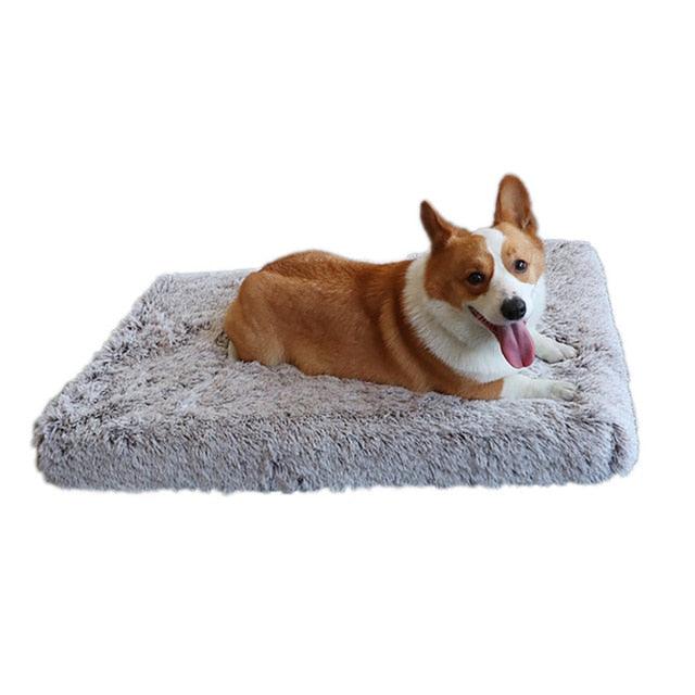 Plush Washable Dog Bed - Pampered Pets