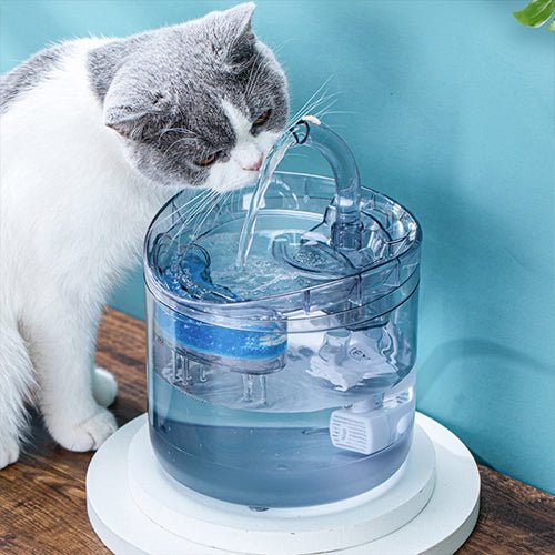 Smart Cat Water Fountain - Pampered Pets